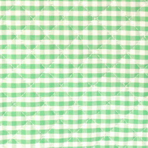 【数量5から】 生地 『先染めギンガムキルティング 中 緑』