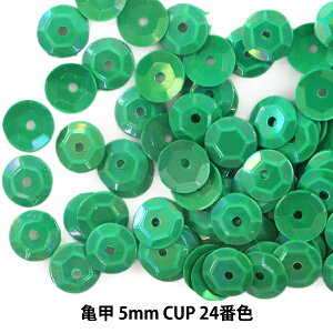 XpR[ wTb 5mm CUP 24ԐFx