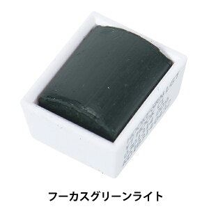 絵具 『コットマン ウォーターカラー ハーフパン 314 フーカスグリーンライト 3110314』 Winsor&Newton