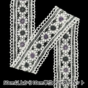 �y����5����z ���{�� �w�t�����[�h�J���{�� 2026 ��5.5cm�� 1�ԐF K253T-WLD1�x