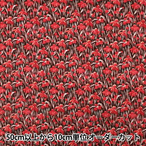 y5z n woeBEt@ubNX ^i[ AbgEWEIy 363524325CUx Liberty Japan oeBWp