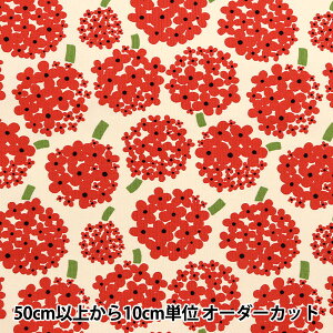 y5z n w̕z 10ԃLoX  AC{[n×bh UP5950-Bx COTTON KOBAYASHI Rbg΂₵ ё@