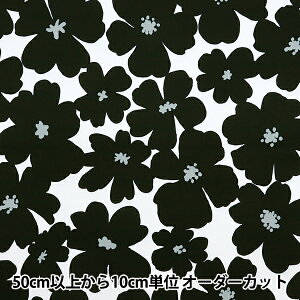 y5z n w͂|GXe AllK[f ubN HP-FLANE-BKx