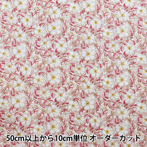 y5z n wLIBERTY oeBvg ^i[ CEX 1229214-WEx Liberty Japan oeBWp