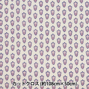 n wSOULEIADO \CA[h V[`O~l[g JbgNX 108×50cm O[W SLFRK-314Ax