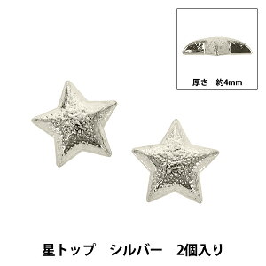 �A�N�Z�T���[�f�� �w���g�b�v �V���o�[ 2����AP25821�x