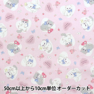 y5z n wIbNX hDF[ n[g sN AP52204-1Bx