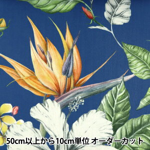 y5z n wLIBERTY oeBvg ^i[ p_CXxC 3631137-Bx Liberty Japan oeBWp