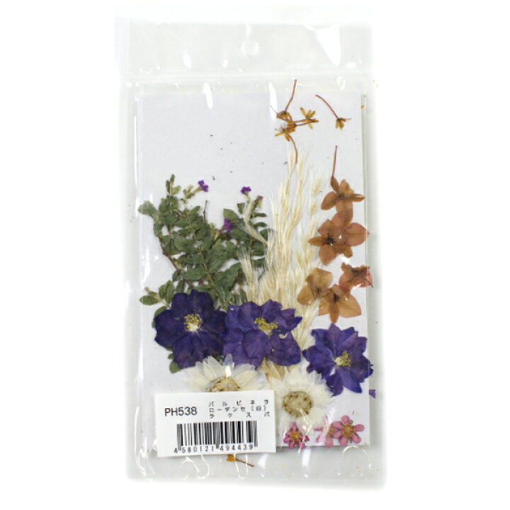 楽天市場 押し花キット つみたて花パック 白色系ローダンセ バルビネラ ラクスパ Ph538 手芸と生地のユザワヤ２号館