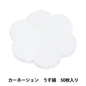 A[gt[ޗ wJ[l[V  50 C-24x