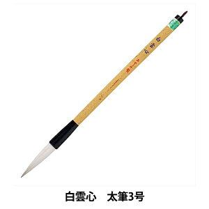 M w_S #PL-205x akashiya ޗǕM 