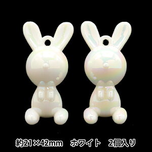 �A�N�Z�T���[�f�� �w�A�N�����`���[�� ������ �z���C�g 2���� A4714�x