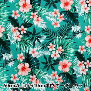 y5z n wIbNX nCA nCrXJX O[×sN AP52202-2Cx