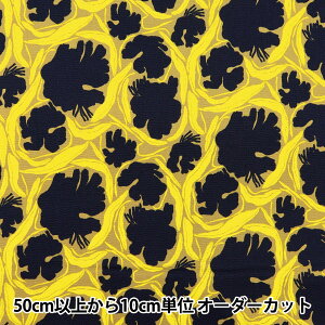 y5z n wkippis (LbsX) IbNX g[ C KPO-76Bx