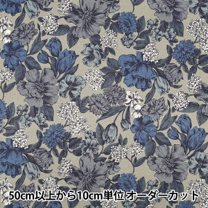 y5z n wȖV[`O i`K[f x[W YGA-86080-1Bx KOKKA RbJ