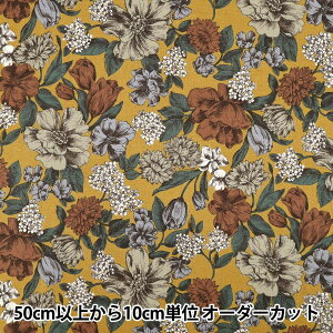 y5z n wȖV[`O i`K[f CG[ YGA-86080-1Cx KOKKA RbJ