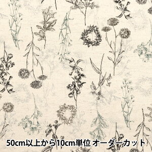 y5z n wȖV[`O i`K[f ubN YGA-81070-1Bx KOKKA RbJ