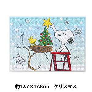 �r�[�Y�L�b�g �w�_�C�������h�t�B�b�N�X �X�k�[�s�[ Xmas 2L�T�C�Y DF2L-PN002�x