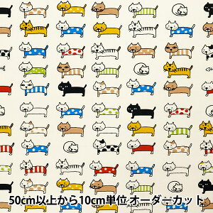 y5z n wiC^X ˂ AC{[ KTS6728-Ax COTTON KOBAYASHI Rbg΂₵ ё@