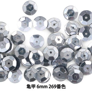 XpR[ wTb 6mm CUP 269ԐFx