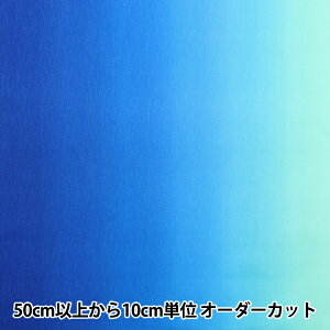 y5z n wOf[Vvg AI DD11216S-501x