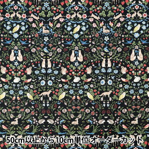 y5z n w10ԃIbNX Aj}K[f ubN R9014-2Ex