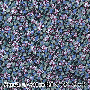 �y����5����z ���n �wLIBERTY ���o�e�B�v�����g �����Z�����[�� �X�v�����O�E�I�[�`���[�h�x Liberty Japan ���o�e�B�W���p��