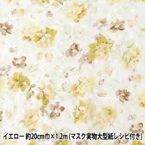 楽天市場】レース 生地 黄色の通販