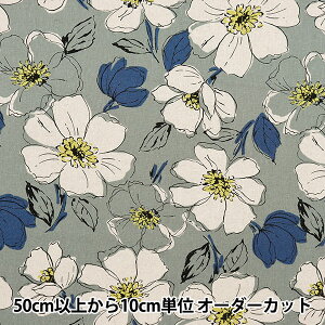 y5z n wȖLoX `̉ u[O[ CLLIFL-BLGNx