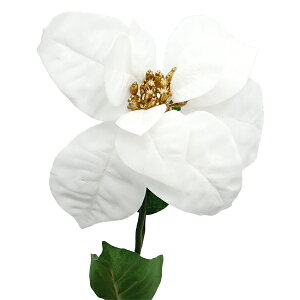  VNt[ w|CZ`A zCg AX60097-001x asca AXJ