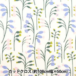 n wkippis (LbsX) IbNX JbgNX 110×50cm  Li KPOK-78Ax