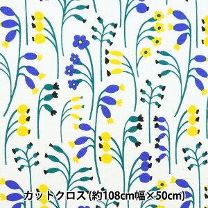 n wkippis (LbsX) IbNX JbgNX 110×50cm  CgO[ KPOK-78Bx