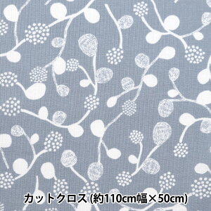 n wkippis (LbsX) V[`O JbgNX 110×50cm Yx[ u[O[ KPSK-72Ax