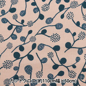 n wkippis (LbsX) V[`O JbgNX 110×50cm Yx[ x[W KPSK-72Bx