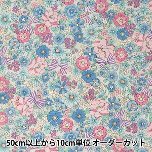 y5z n wu[h ԕ u[ AP4187-8Cx RXeLX^C