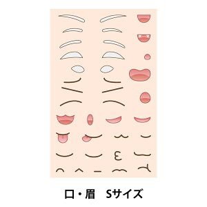 |p[c wʂ݃tFCXfRAC]ʃV[g E STCY YWA-05x