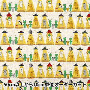 y5z n wȖLoX lR Li KTS7149-Ax COTTON KOBAYASHI Rbg΂₵ ё@