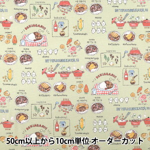 �y����5����z ���n �w�I�b�N�X �J���t���L�����o�X �J���[���C�X �O���[�� COCA-CUR-GR�x KOKKA �R�b�J