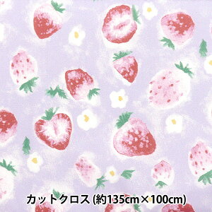 n w͂RۖhL|GXe JbgNX 135cm×100cm ʃC`S p[v C-HP-SC-SU-PUx