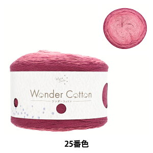 tĖю w_[Rbg ׃^Cv [YsN 25ԐFx