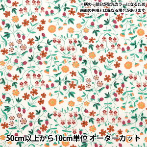 y5z n woeBEt@ubNX lIJ[ ^i[ g~x 3632003-J24Cx Liberty Japan oeBWp