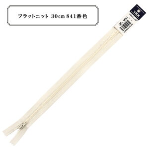 t@Xi[ wtbgjbg 30cm 841ԐF DAx YKK CP[P[