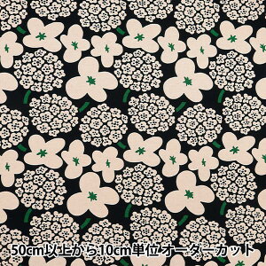 y5z n w̕z ȖLoX u[P UP5931-Bx COTTON KOBAYASHI Rbg΂₵ ё@