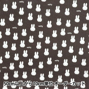 y5z n wV[`O ~btB[ ~jtFCX `R[ G-2026-1Cx KOKKA RbJ