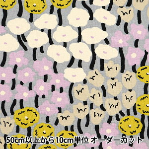y5z n w̕z 10ԃLoX Ԕ E UP5904-Ex COTTON KOBAYASHI Rbg΂₵ ё@