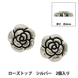 �A�N�Z�T���[�f�� �w���[�Y�g�b�v �V���o�[ 2����AP25823�x
