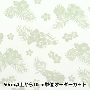 y5z n wTCV[`O nCAvg nCrXJX O[ AP4770-1Ax