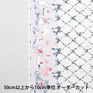 y5z n wIbNX w ˂ O[ AP45205-2Ex