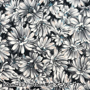 y5z n wȖLoX NOVAG^b`t[ ubN NCLC-BKx KOKKA RbJ