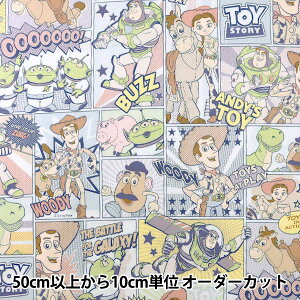 y5z n wV[`O gCEXg[[ G9987-1Cx KOKKA RbJ